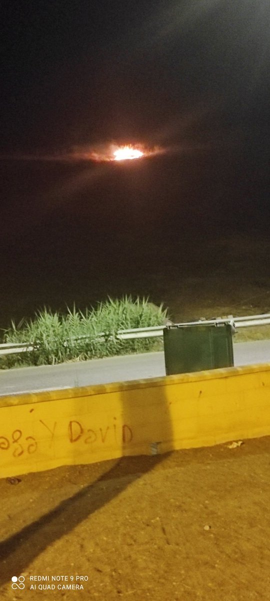 Vergüenza me da ver estas cosas