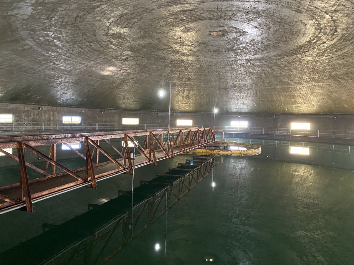 Renee Willette tweet media