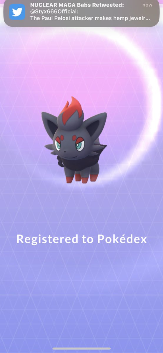 itsturtlejr's tweet photo. Got my first Zorua!! I thought it was a random Tirtouga spawn, but it’s a nice dex entry!! #TeamTurtleJr #PokemonGoApp #PokemonGOHalloween https://t.co/05Zg6bW4Cr