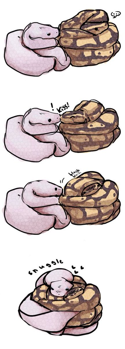 ur_average_bean tweet picture