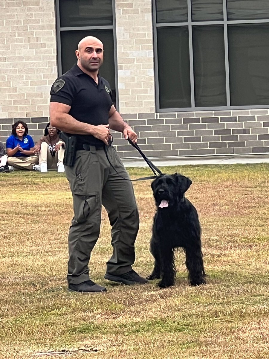 K9Reich tweet media