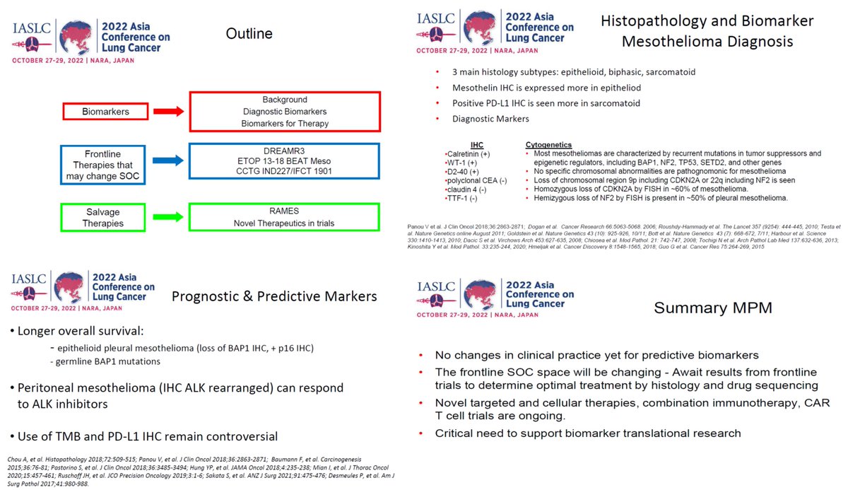 IASLC's tweet photo. Dr. Anne Tsao of @MDAndersonNews presents Biomarkers &amp; Novel Therapeutics in #Mesothelioma at #ACLC22. She outlines more about #biomarkers, mutations, frontline therapies that may change SOC, &amp; salvage therapies, including novel agents under investigation. https://t.co/cZEEa5Z5tb