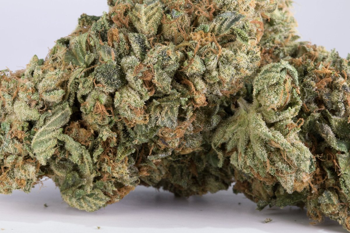 mancpluguk's tweet photo. BluMuffins wicker- mancitybud #manchester420 #manchesterflake #chorltonweed #chorlton #ancoatsweed #mediacityweed #manchestercali #mancweed #salfordbuds #manchestersmoke #manchester420 #manchesterflake #chorltonweed #chorlton #ancoatsweed #mediacityweed #manchestercali #mancweed https://t.co/FKgFfnAqCJ