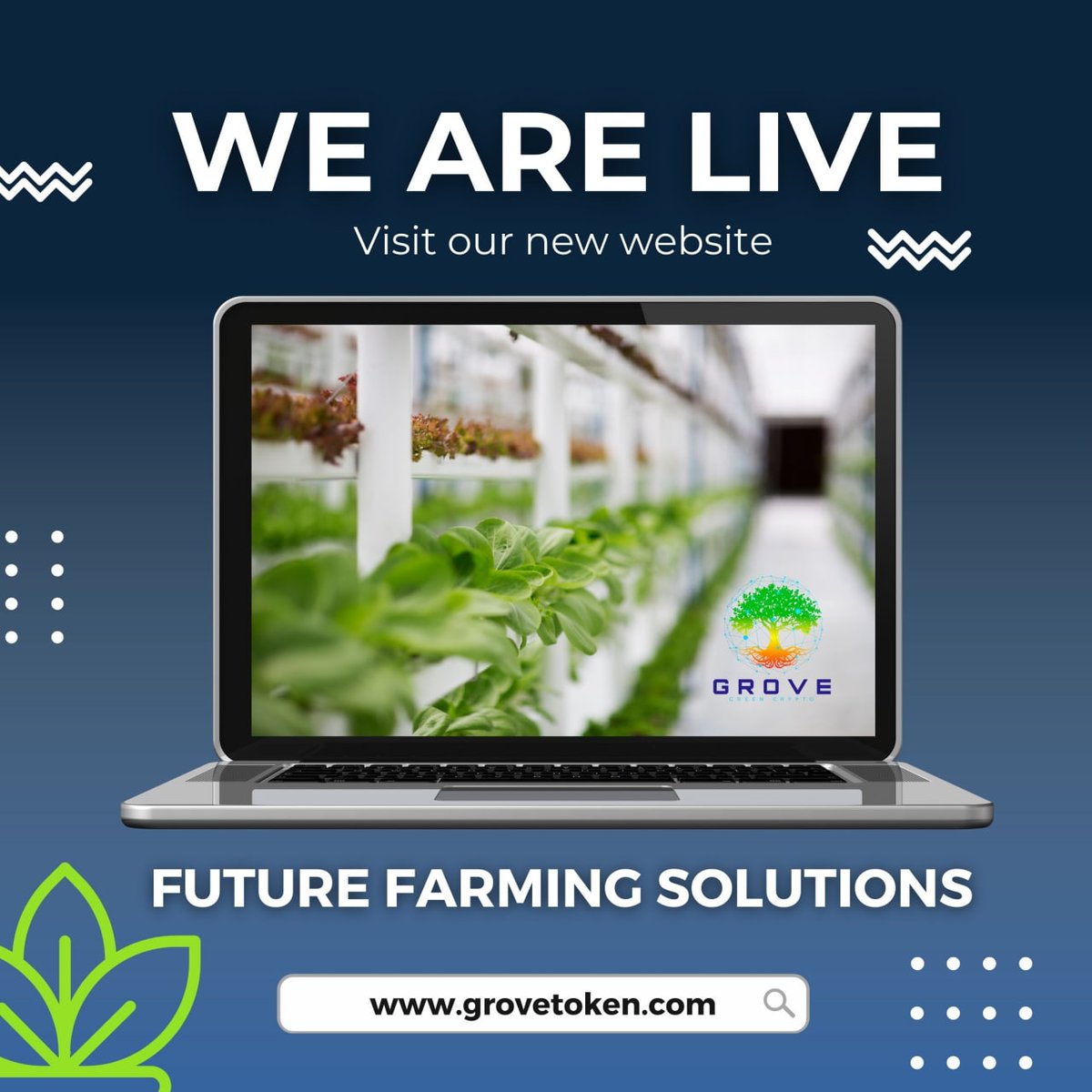 srrono's tweet photo. ✅️Real Life Utilitiy 
🚜Hydroponic Farming Container System 
💻Future Farming Solutions Live

Let's Go🚀
#Grovetoken 
#IfYouKnowYouKnow
#FutureFarmingSolutions 
#StrongerTogether 

https://t.co/RlZgLz8xEu…

https://t.co/MlryLN73A0 https://t.co/V0yuAMeS6J