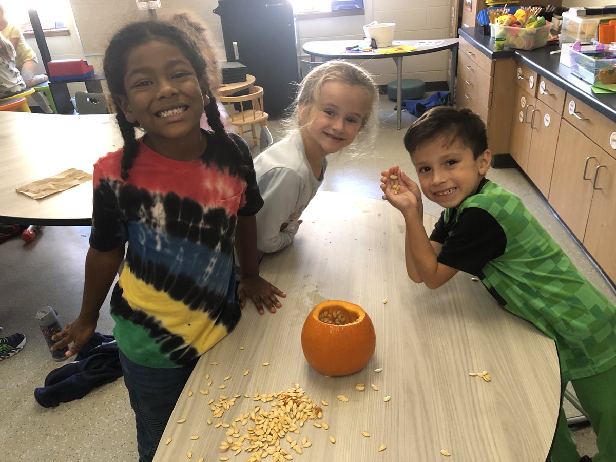 HESHippos's tweet photo. More pumpkin exploration in Ms Goertz class https://t.co/WwnwH8t7eo