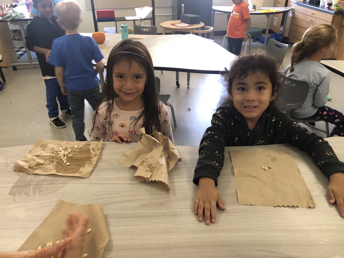 More Pumpkin exploration in Ms Goertz class