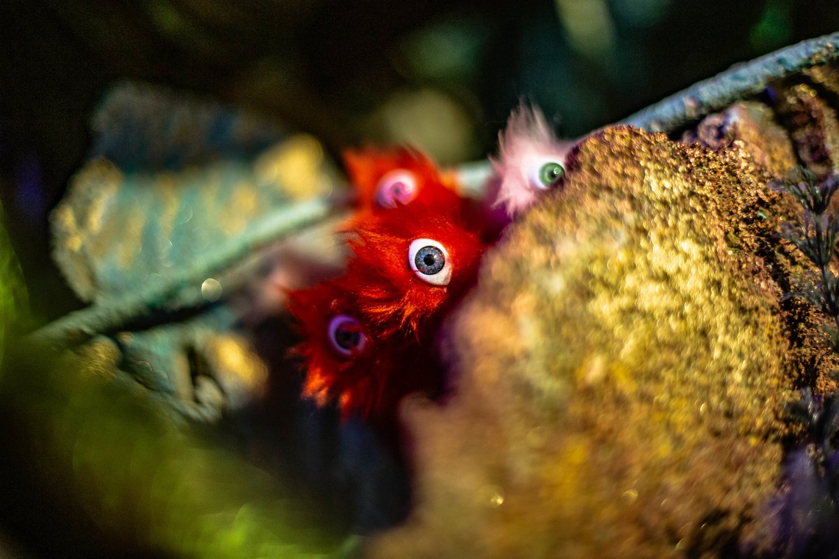 IdeasOfInterest tweet media