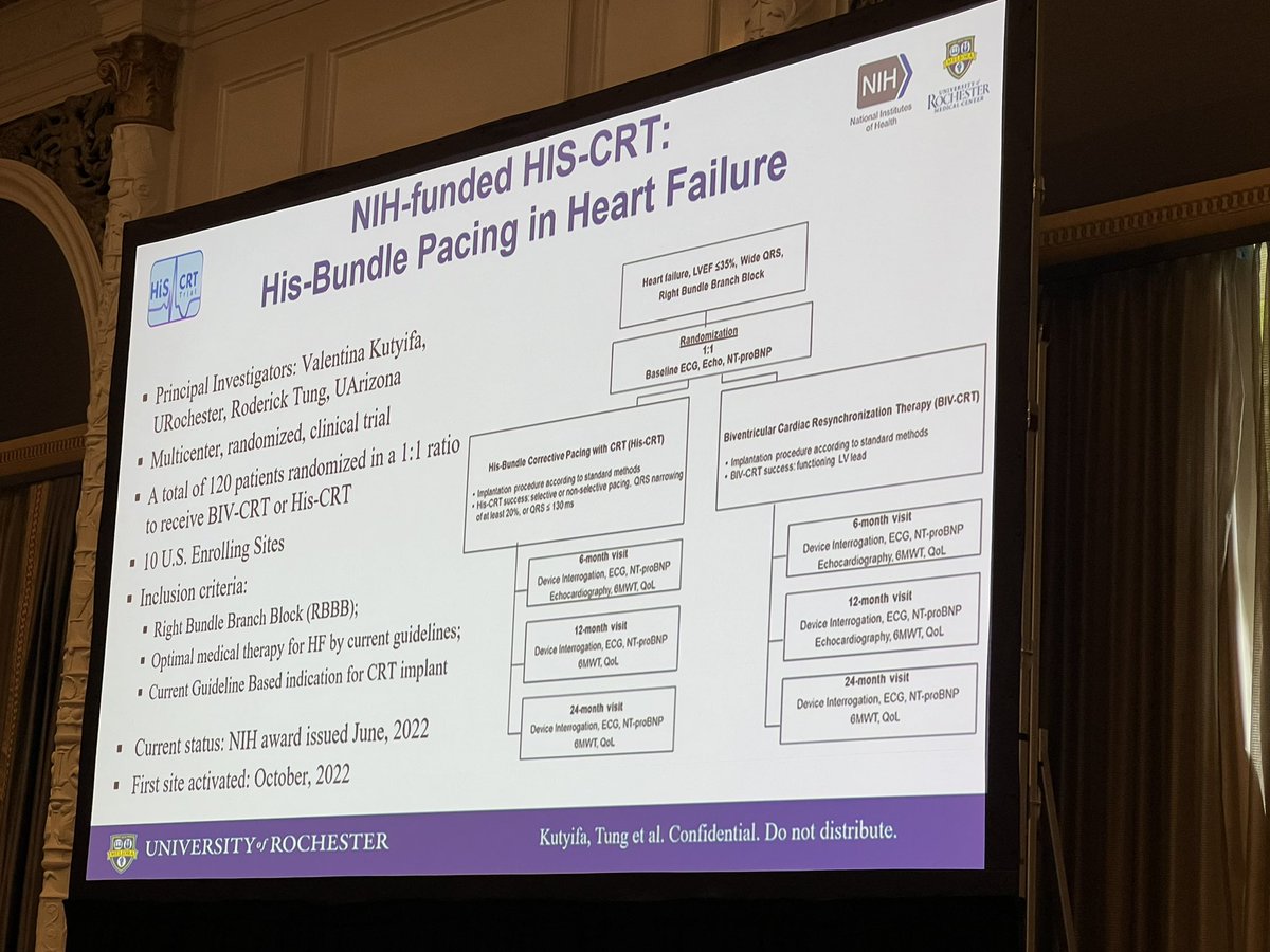 Roderick Tung tweet media