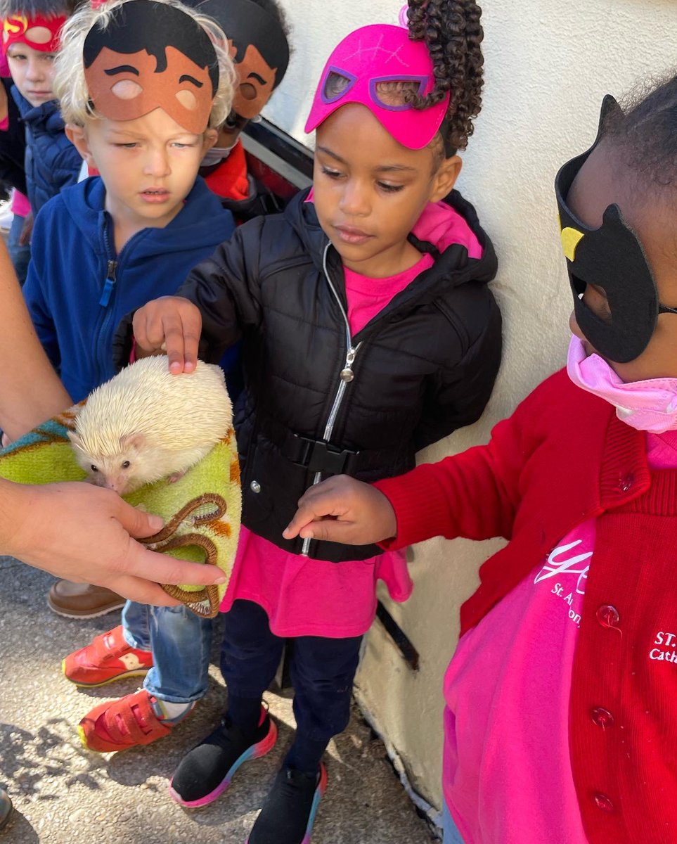 STA_Brookland's tweet photo. Yesterday’s Fall Festival was full of animals, treats, and games galore!
#STABrookland #CCAFun #ADWcommUnity   https://t.co/L9YranlPwM