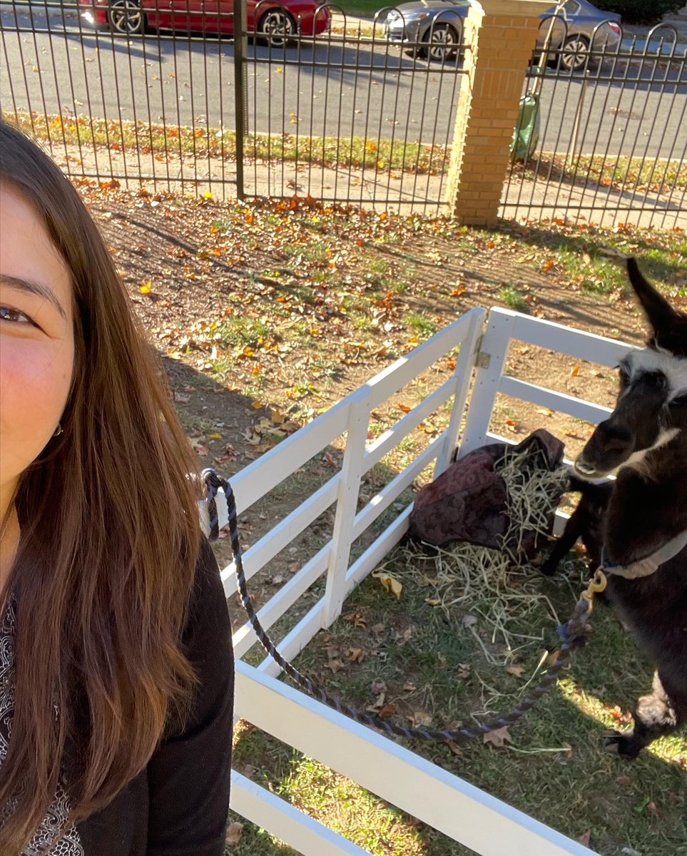 STA_Brookland's tweet photo. Yesterday’s Fall Festival was full of animals, treats, and games galore!
#STABrookland #CCAFun #ADWcommUnity   https://t.co/L9YranlPwM