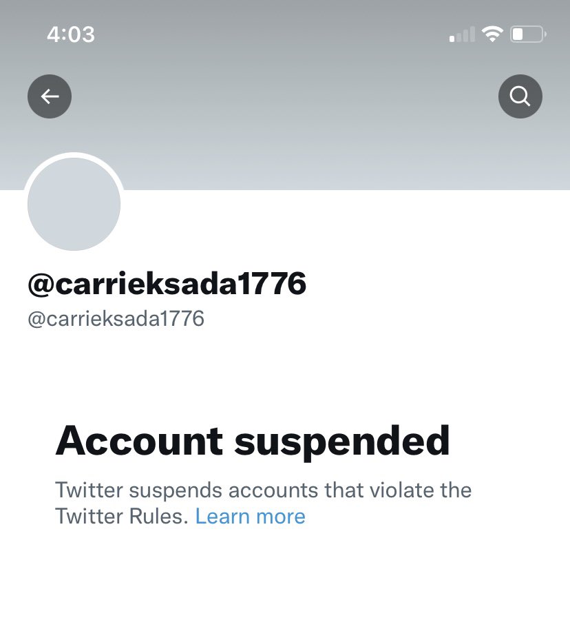 @elonmusk @MikhailaFuller @jordanbpeterson Thank you @elonmusk My account was purged for supporting Trump. My @ is @carrieksada1776 I would like to be reinstated.