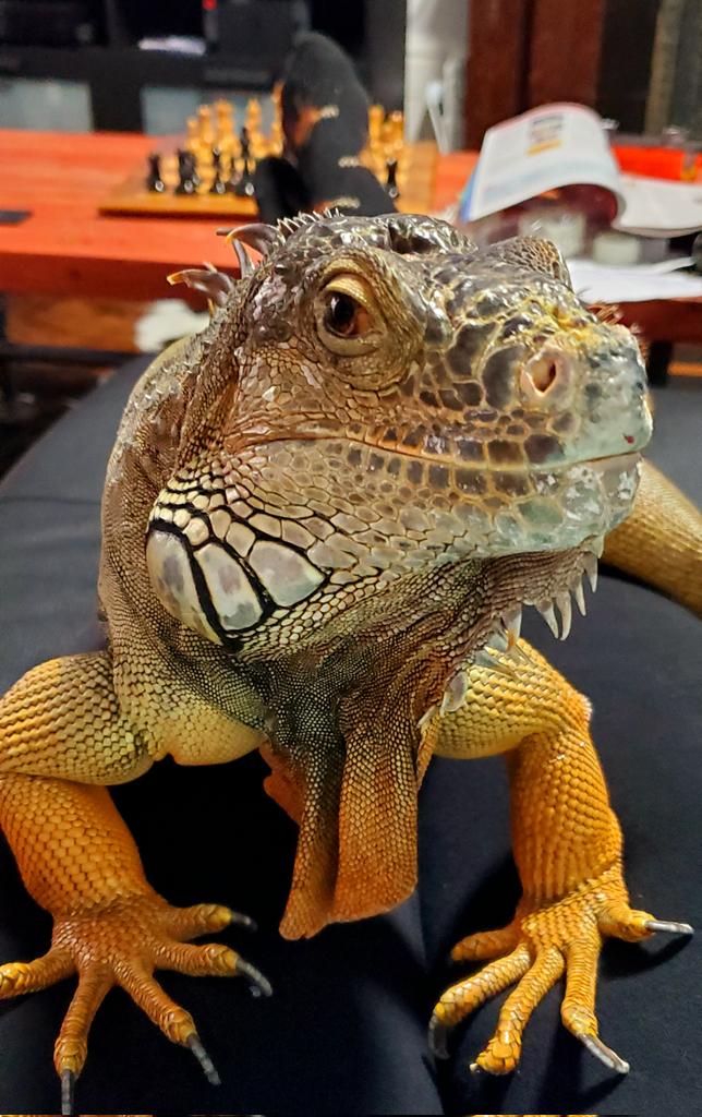 Stephanie Hughes tweet media