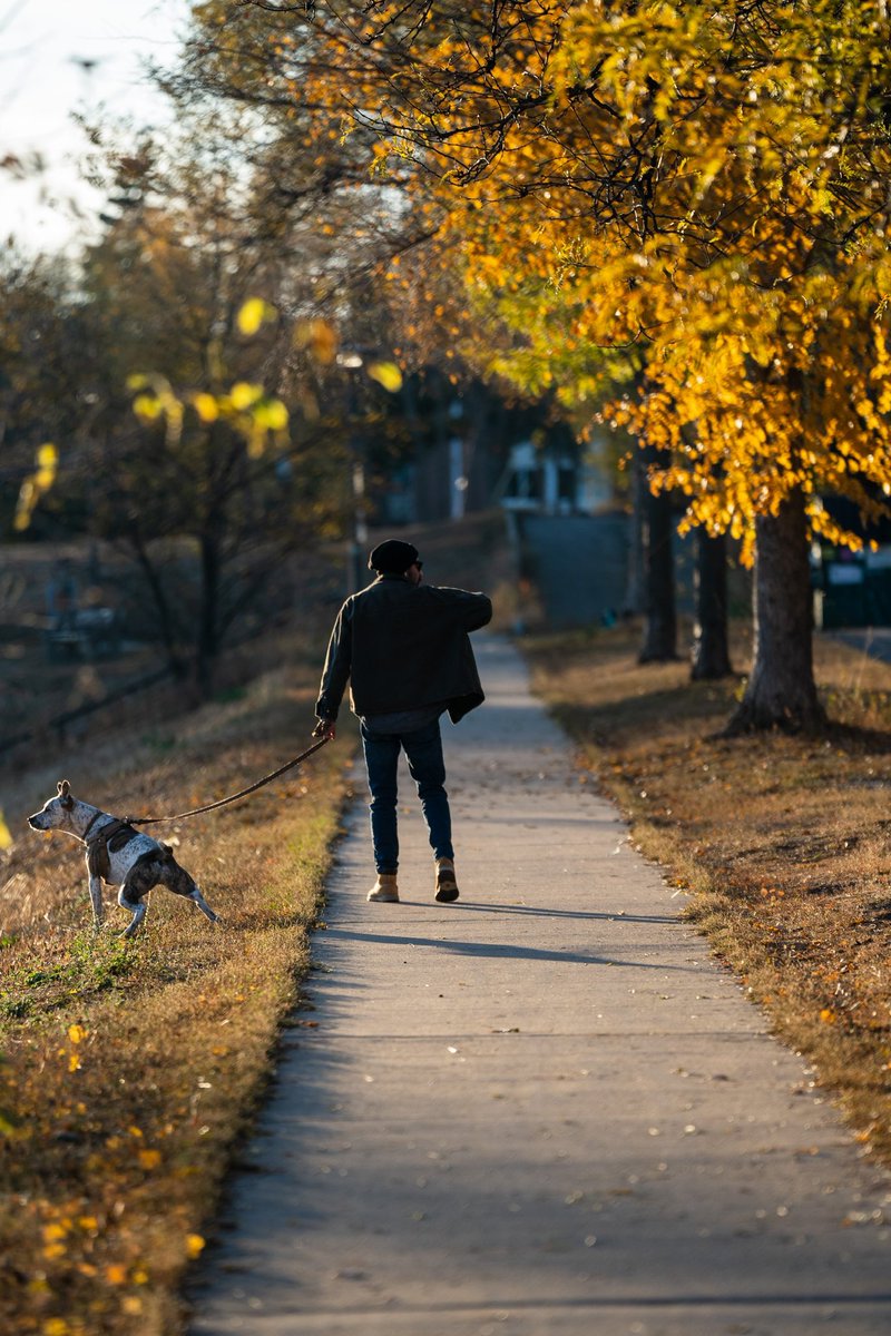 Riley_Bruce's tweet photo. Powderhorn park Minneapolis. October 26, 2022. https://t.co/gHO8BKXl8N