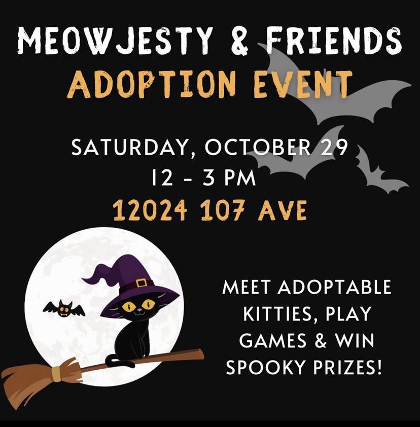 124 Street Business Association tweet media