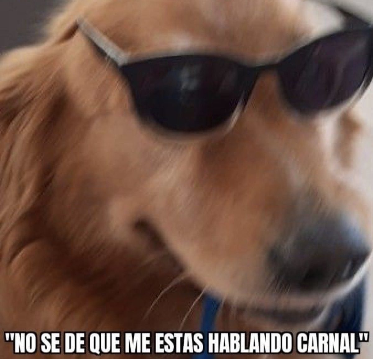TioEnco's tweet photo. Yo con cualquier pedido que me llega después de las 8pm https://t.co/gUKykLfpLr