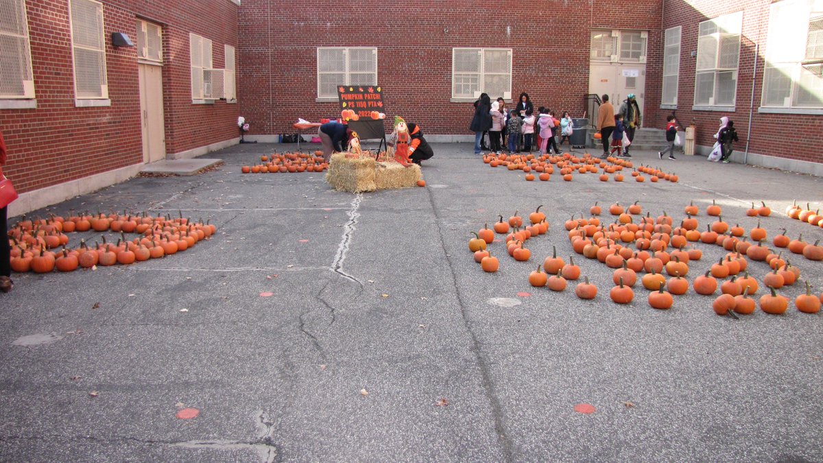 KevinBurke115's tweet photo. "Meet Me at The Pumpkin Patch" Thank you PTA and our parent volunteers for assisting our students in selecting the perfect pumpkin and receiving decorative stickers to align with our Virtue of the Month-Creativity. #D26Team #CMLindaLee https://t.co/4AwmAPqLZ1