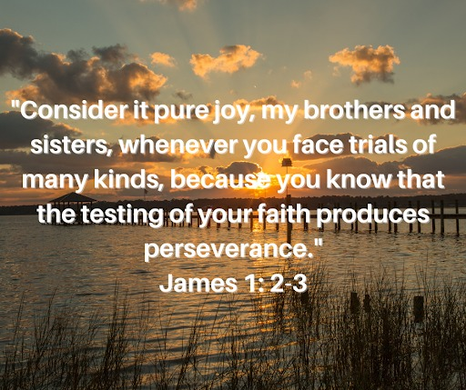 Steve Marshall tweet media