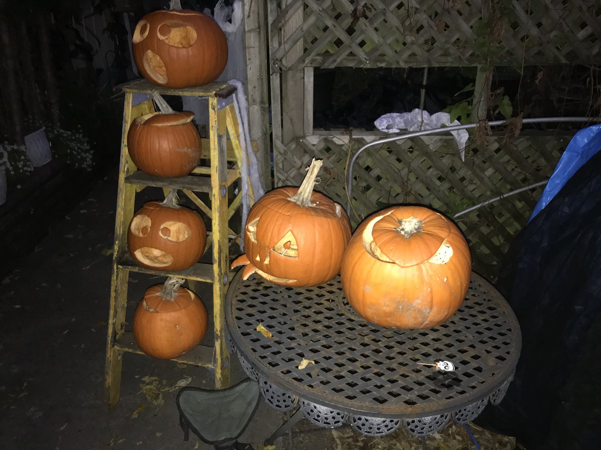 _BCCOS's tweet photo. This is particularly important if you live in a neighbourhood with bear activity.

Let’s make sure the only guest at your door is a trick-or-treater. Have a safe and Happy Halloween!

#BeBearSmart #BCCOS 🎃 https://t.co/z3Wwq3FymA