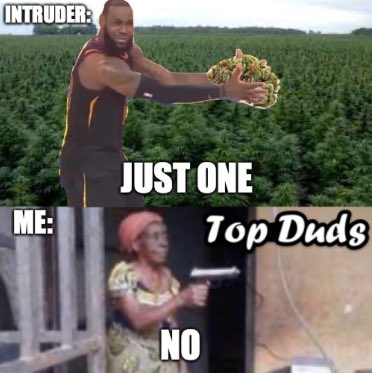 _top_duds's tweet photo. No, put it down 
#Weedmemes #dankmemes #stupidmemes #topdudsmemes https://t.co/RzHxGYtG9y