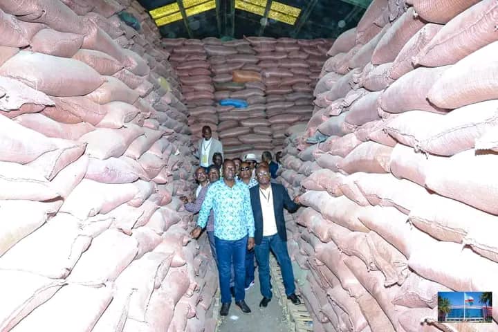 TLupata's tweet photo. Notons la présence du rapporteur de l'AP Thomas Lupata aux côtés du gouv @JacquesKyabula pour visiter c vendredi les entrepôts où sont stockés des tonnes de sacs des farines qui seront bénéfiques aux lushois qui peinent depuis plusieurs années, un pari gagnant pour @fatshi13 https://t.co/Y7Ja3wkBV6