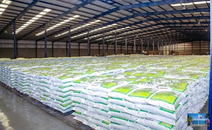 TLupata's tweet photo. Notons la présence du rapporteur de l'AP Thomas Lupata aux côtés du gouv @JacquesKyabula pour visiter c vendredi les entrepôts où sont stockés des tonnes de sacs des farines qui seront bénéfiques aux lushois qui peinent depuis plusieurs années, un pari gagnant pour @fatshi13 https://t.co/Y7Ja3wkBV6