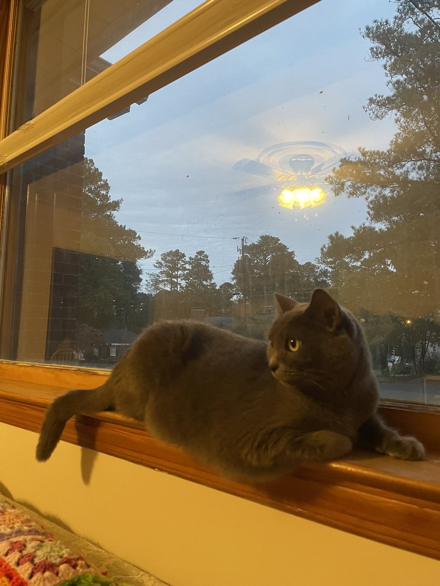 The <a href="/Earlewood/">Historic Earlewood</a> patrol also works evenings. It’s a tough job keeping the streets safe, but someone’s gotta do it.