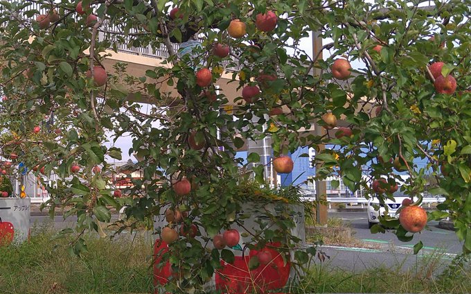 さえずり派 ページ 2 オッサンとバイエル ピアノ等