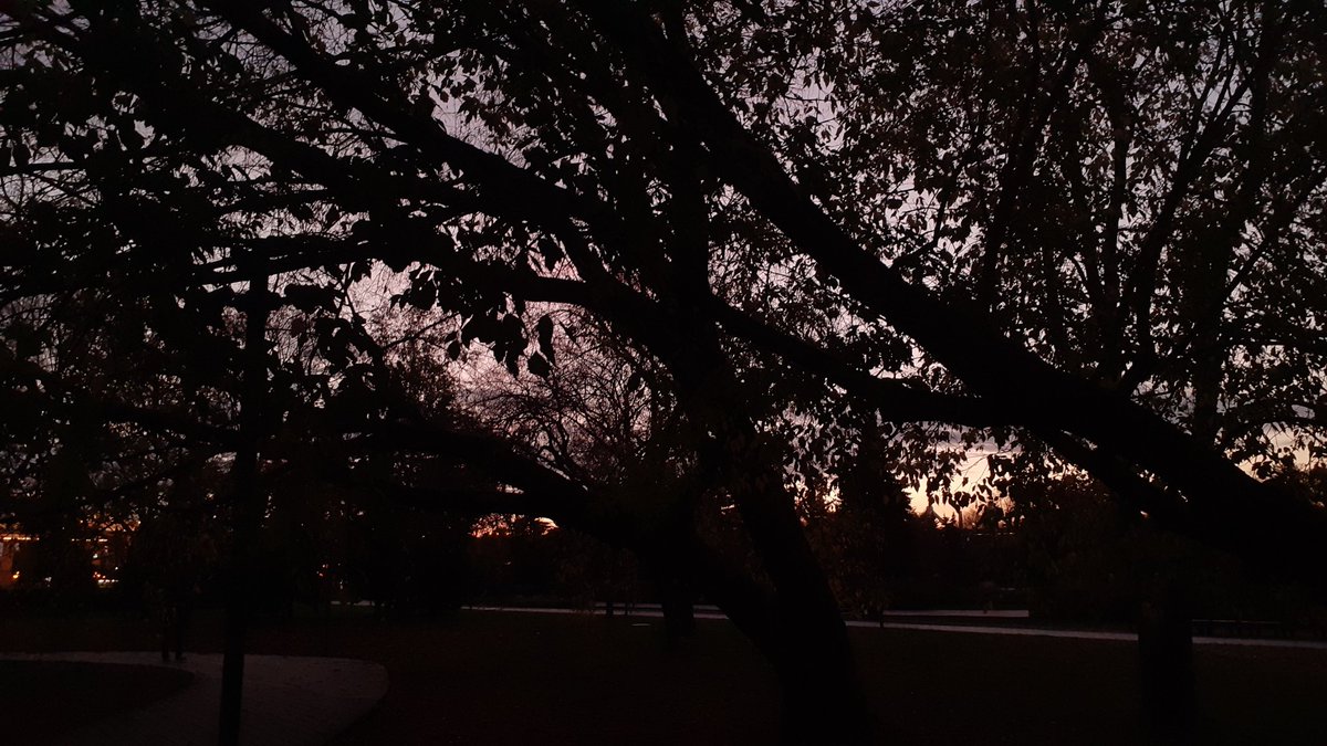 moumjae's tweet photo. just a few photos i have from my nearly non-existent walks around the city https://t.co/ceIlEsgFwo