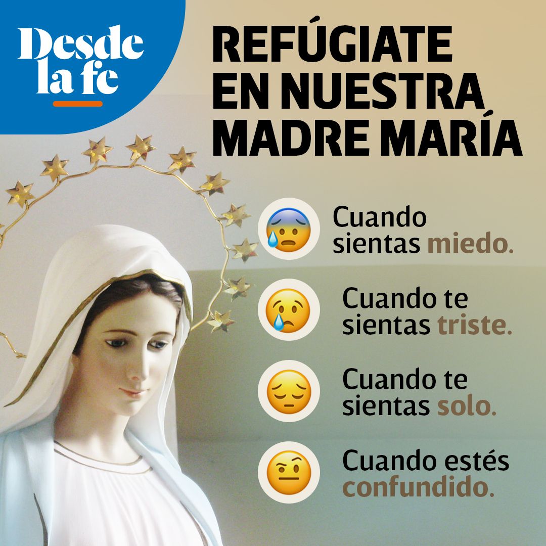 Pildorasdefe tweet media