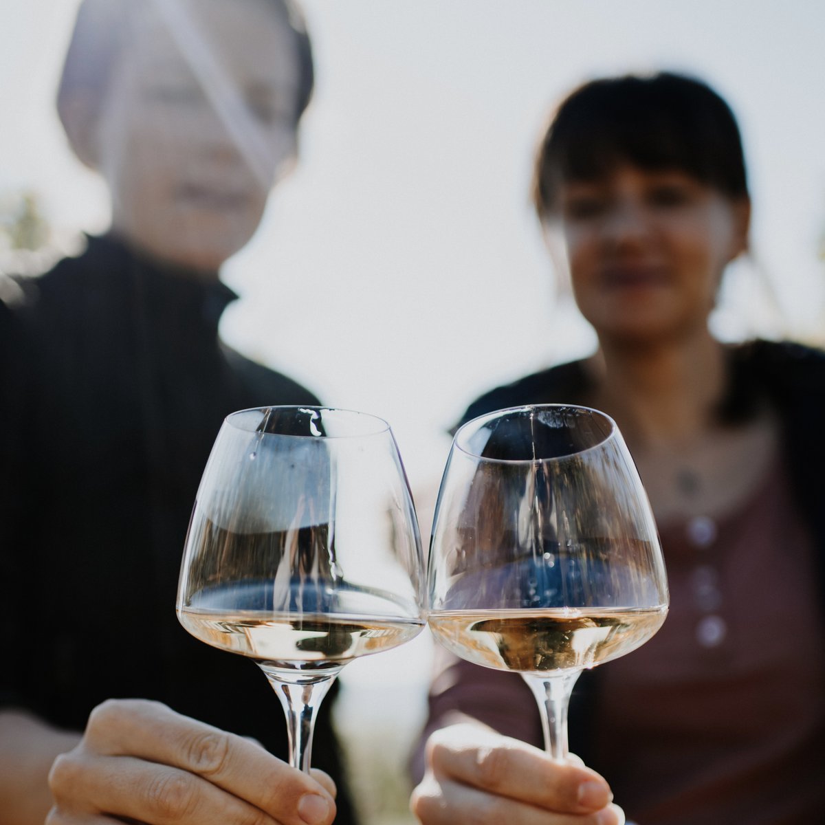 Introducing our newest portfolio addition: Vignoble des 2 Lunes from Alsace, France!

These 4 new wines have arrived and are available for order 🥂

#wine #winelover #whitewine #winenot #ilovewine #alsace #vignobledes2lunes