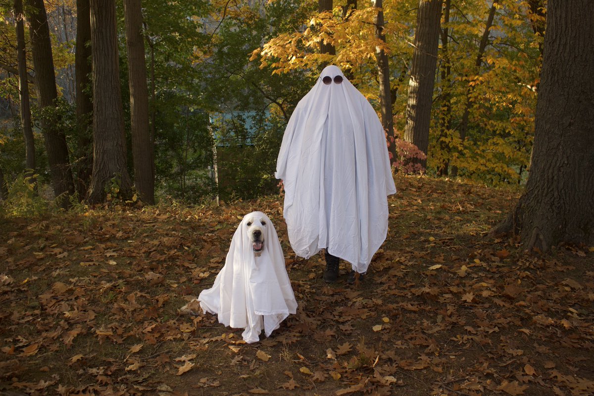 Happy Halloween from your favourite ghosts 👻🎃