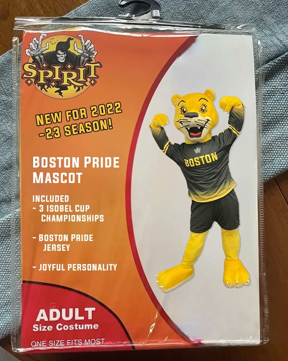 Introducing the newest costume (that you can’t buy): the Boston Pride Mascot to be named later. Let us know what you think the name should be? ⬇️