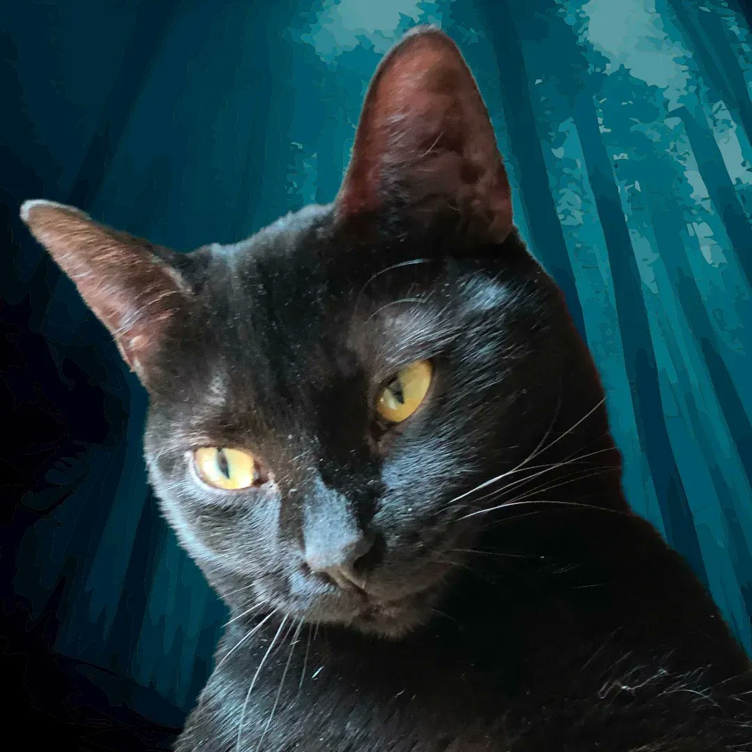 WayofCats's tweet photo. A roar echoed from the forest.
It was a Catsquatch.
#CatsofTwitter #CatsofImagination #MissMorgenMagic #HalloweenHavoc https://t.co/tJqwKMSGIN