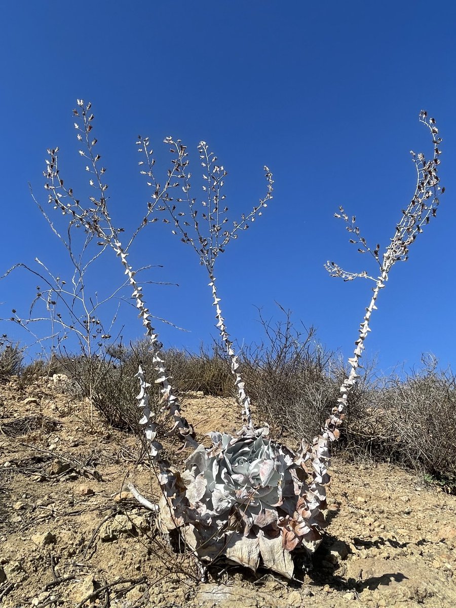 CI Marine Science Academy tweet media