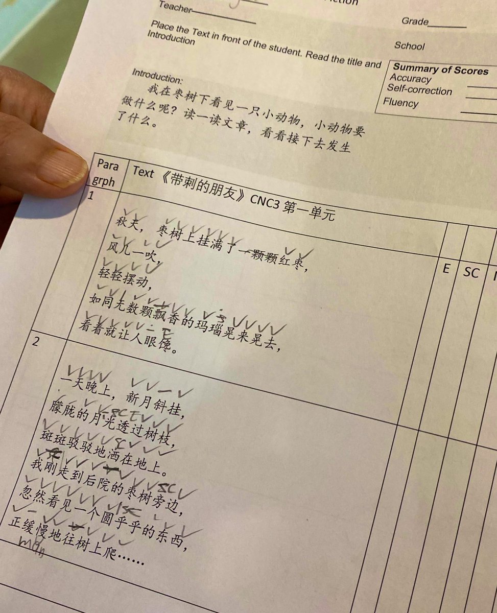 Sanna Erzinclioglu (she/her) tweet media