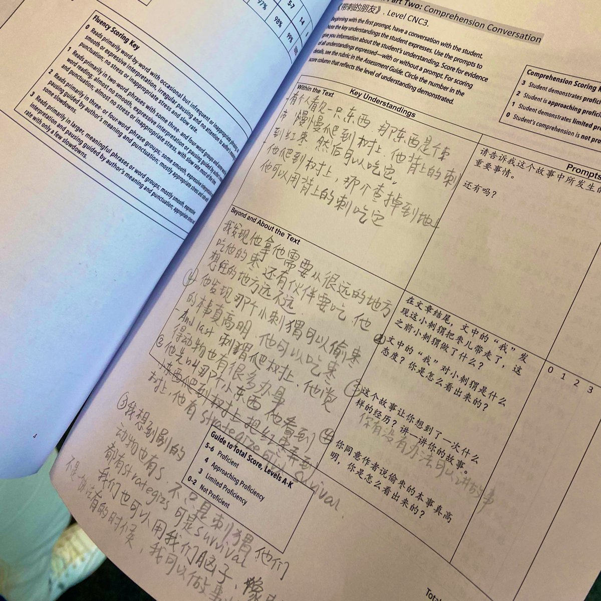 Sanna Erzinclioglu (she/her) (@serzinclioglu) on Twitter photo After one session with our Teaching and Learning Coach our #ChineseLanguage department is trying a new approach with reading assessment.#lifelongpassionforlearning #pdesrocks <a href="/SASchina/">SASchina</a> <a href="/ReneeCout/">Renee Couturier</a> After one session with our Teaching and Learning Coach our #ChineseLanguage department is trying a new approach with reading assessment.#lifelongpassionforlearning #pdesrocks <a href="/SASchina/">SASchina</a> <a href="/ReneeCout/">Renee Couturier</a>