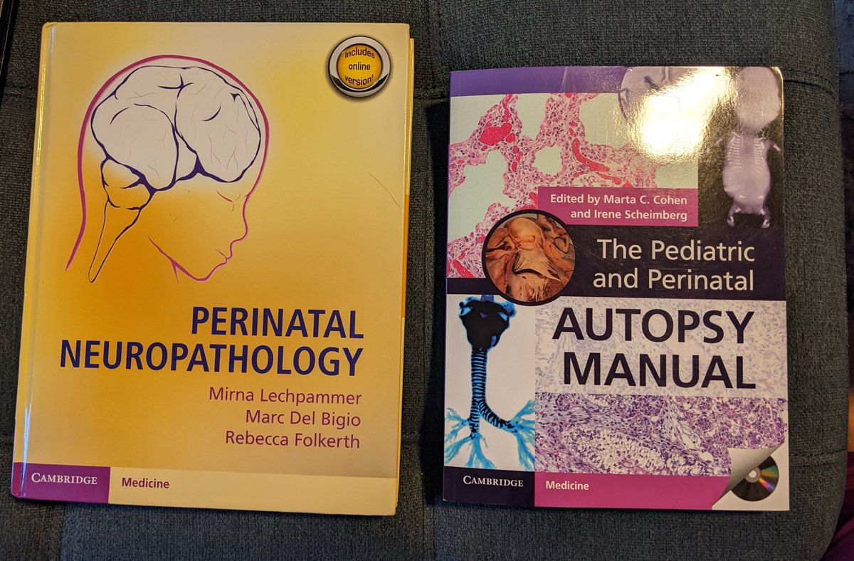 Emerging from my job to share my new books: