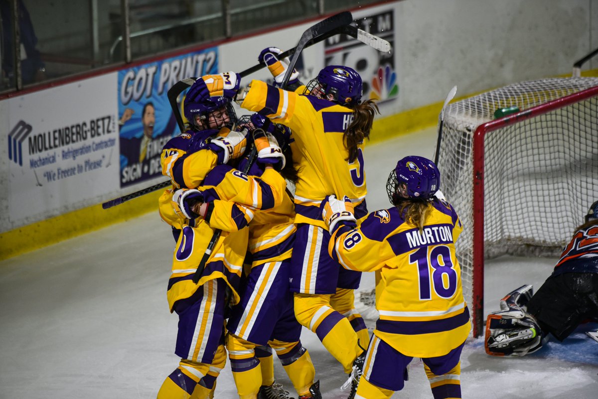 Elmira College Athletics tweet media