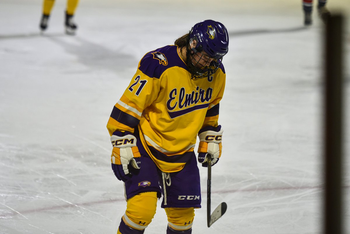Elmira College Athletics tweet media