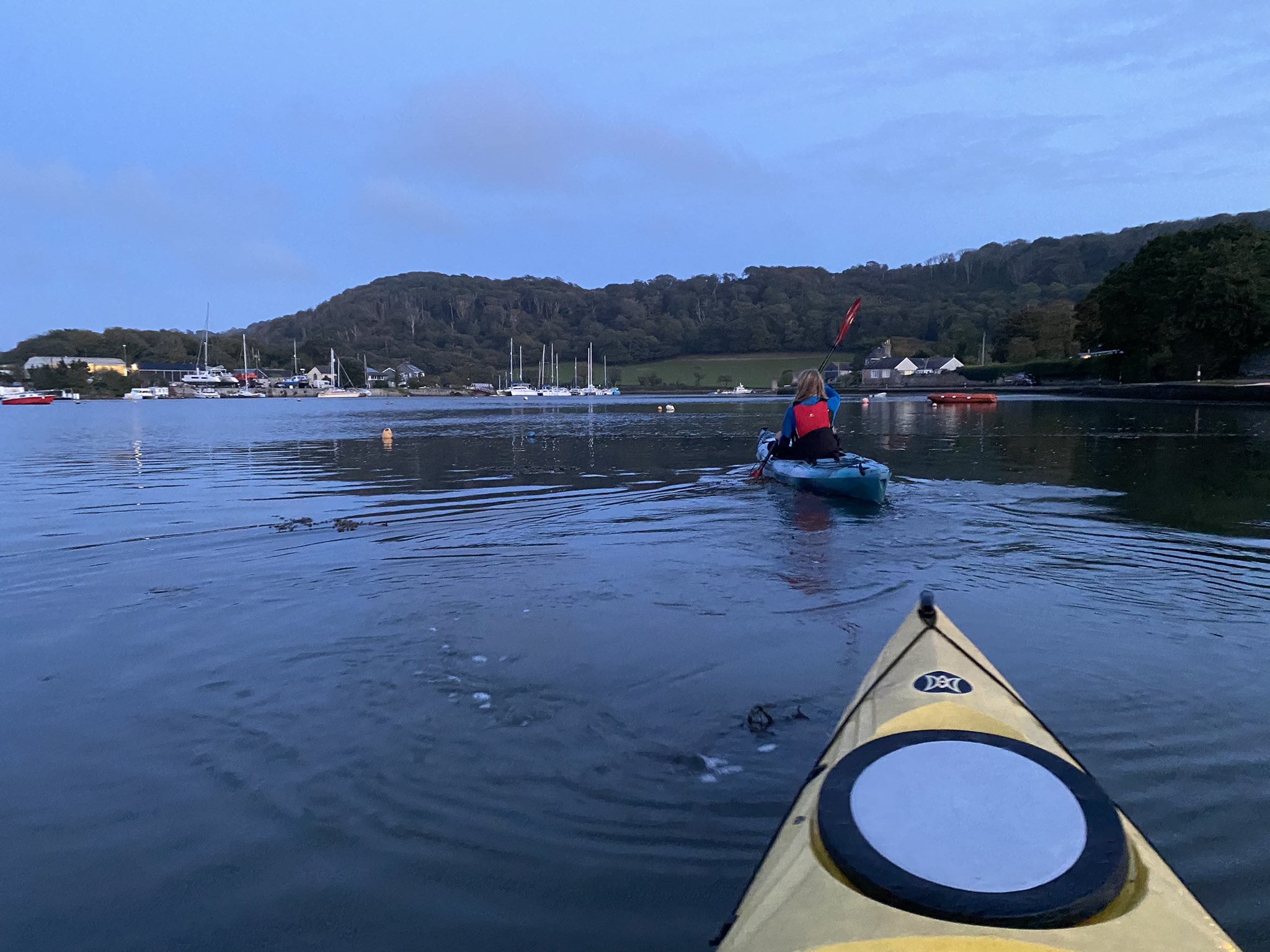 Prof Alice Roberts💙 on Twitter "LifeAfloat More gnarly where you are