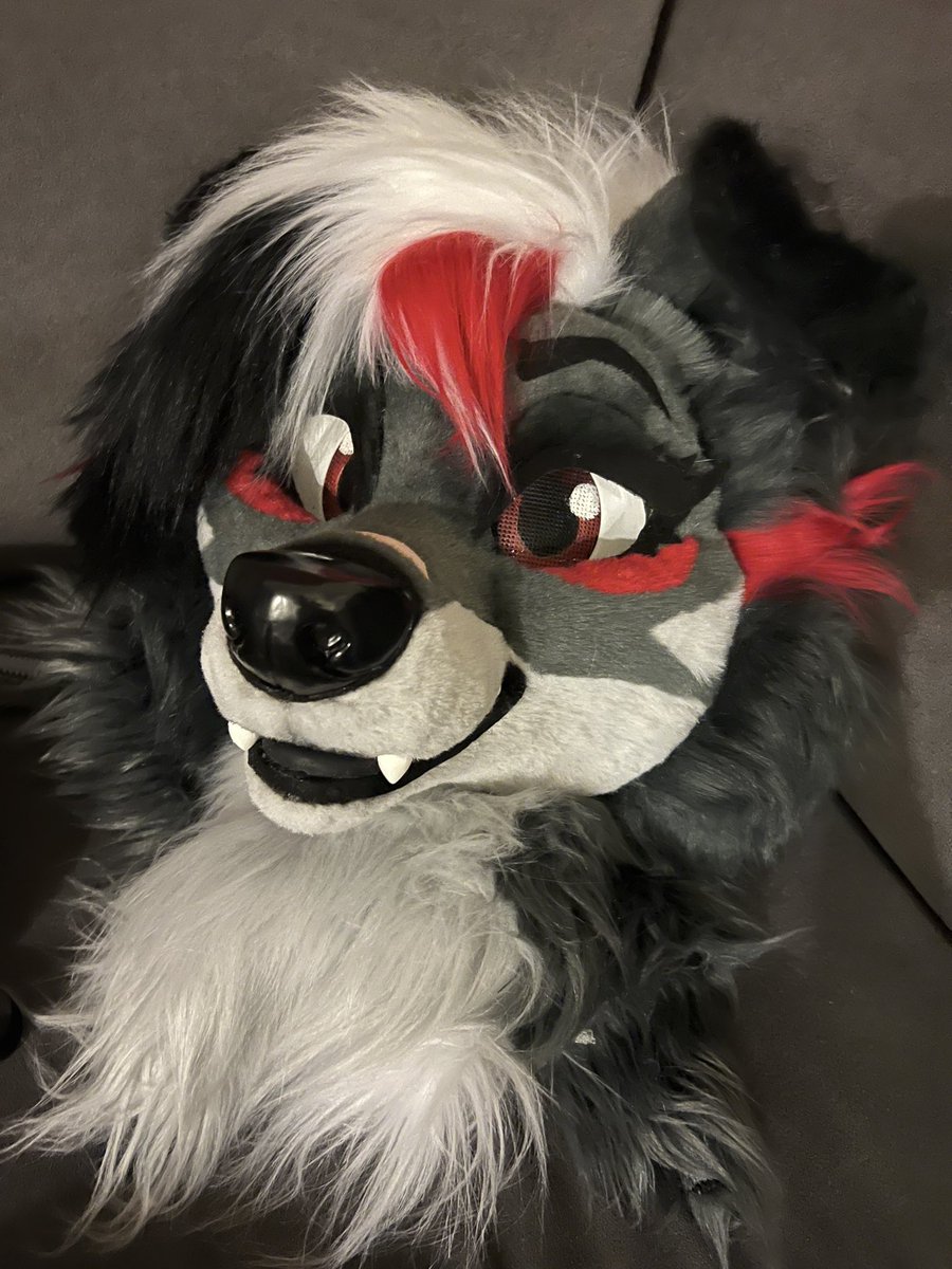 RatsPicnic's tweet image. Ill be in this gal for a bit tomorrow during the furry meetup- panel if anyone wants to grab photos!! @halcon_scificon #halcon #halcon2022