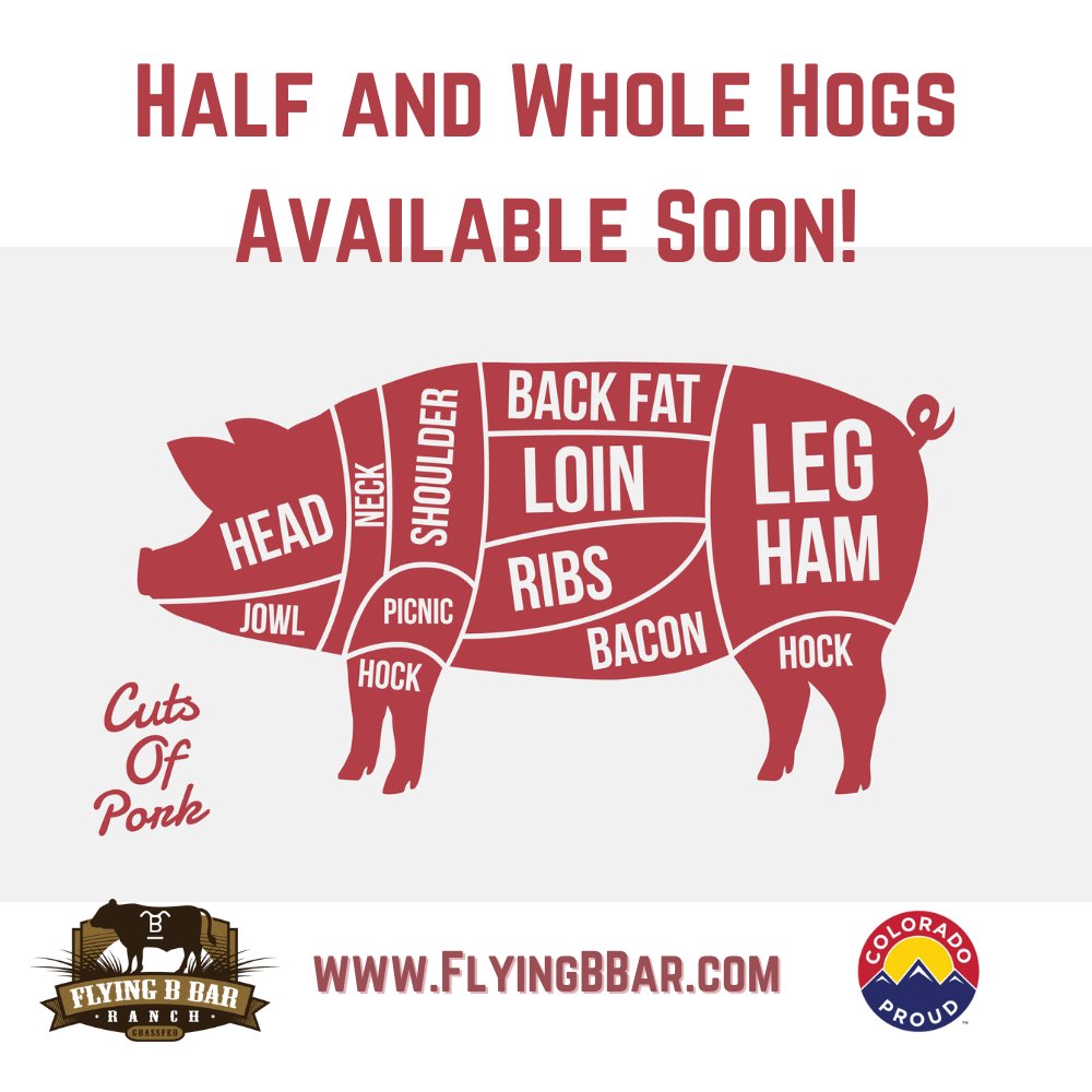 Flying B Bar Ranch (@flyingbbar) on Twitter photo Flying B Bar Ranch has gone whole hog! 
That's right, we are now accepting deposits for 1/2 and whole pigs! We've partnered with a Colorado family farm to bring your family the very best natural heritage pork! 
PLUS we'll have fresh pork cuts in our store on November 11! Flying B Bar Ranch has gone whole hog! 
That's right, we are now accepting deposits for 1/2 and whole pigs! We've partnered with a Colorado family farm to bring your family the very best natural heritage pork! 
PLUS we'll have fresh pork cuts in our store on November 11!
