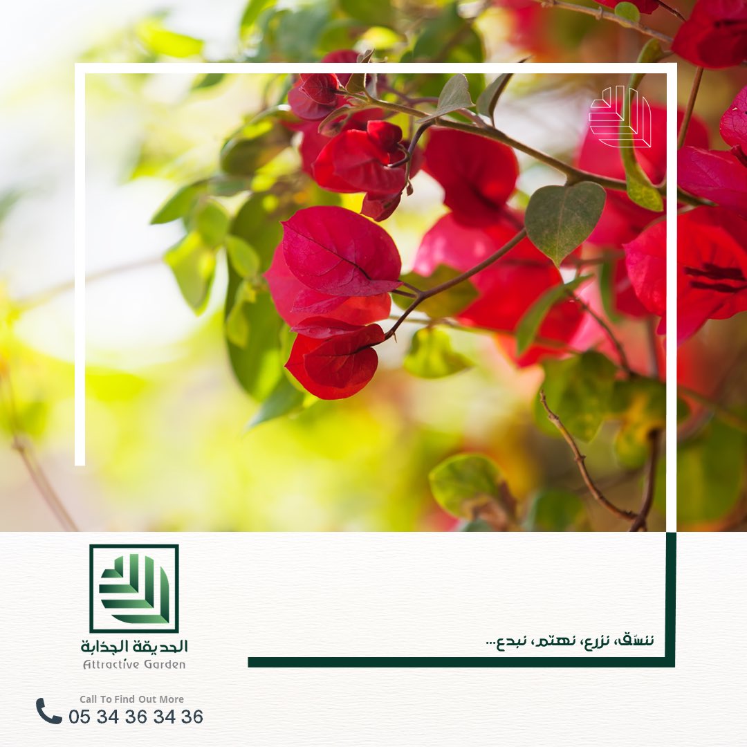 agarden_sa's tweet photo. شجرة الجهنمية احد أهم أشجار الزينة على الإطلاق، حيث أن ألوانها الجذابة ومظهرها الجميل يعطيان المكان روعة وجاذبية🌺

لخدمات تنفيذ وصيانة الحدائق تواصل معنا على: 
0534363436 📞

#اكسبلور #الرياض #حدائق #موسم_الرياض_2022 #الرياض_الخضراء #الحديقة_الجذابة https://t.co/d9Qv2FAjEV