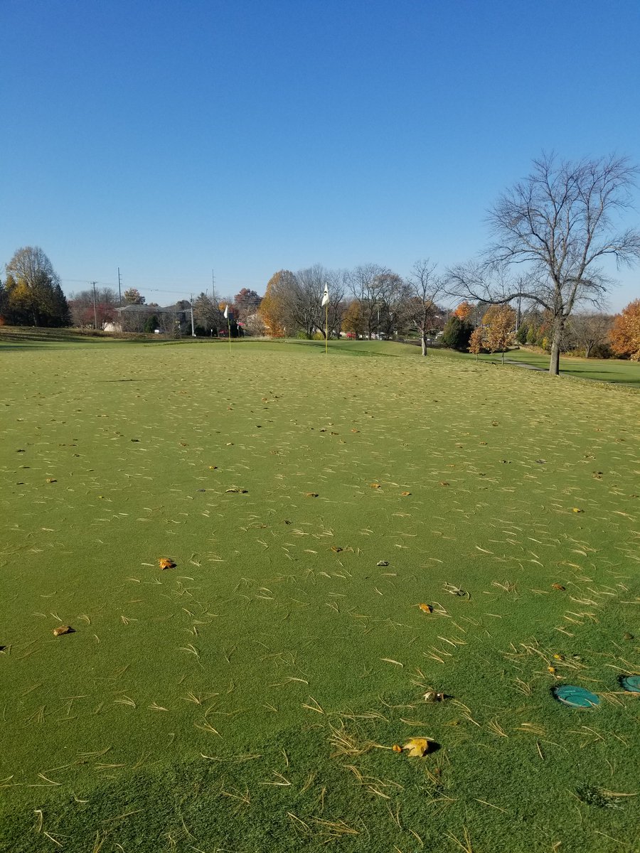 SuperTimG132's tweet photo. Finally got a day the wind wasn't howling and got a good leaf cleanup.....which is a tassssk out here!!! Just when I think I couldn't hate anything more then leaves.....Pine Needles enters the chat....๐คฆ๐ผโโ๏ธ๐คฌ #snowalready https://t.co/eJlcBS7IzL