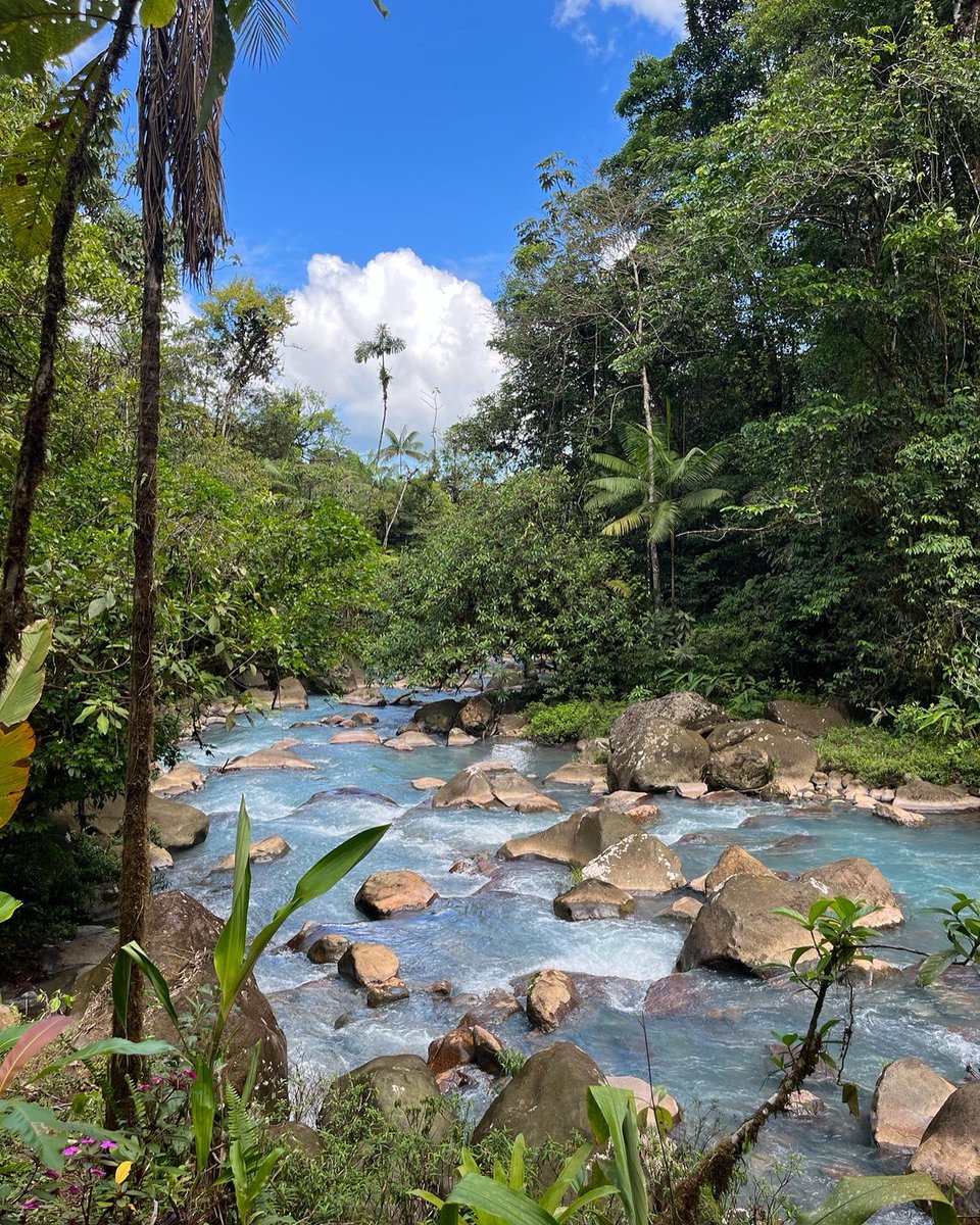 tskip012's tweet image. The colors of Costa Rica are breath taking