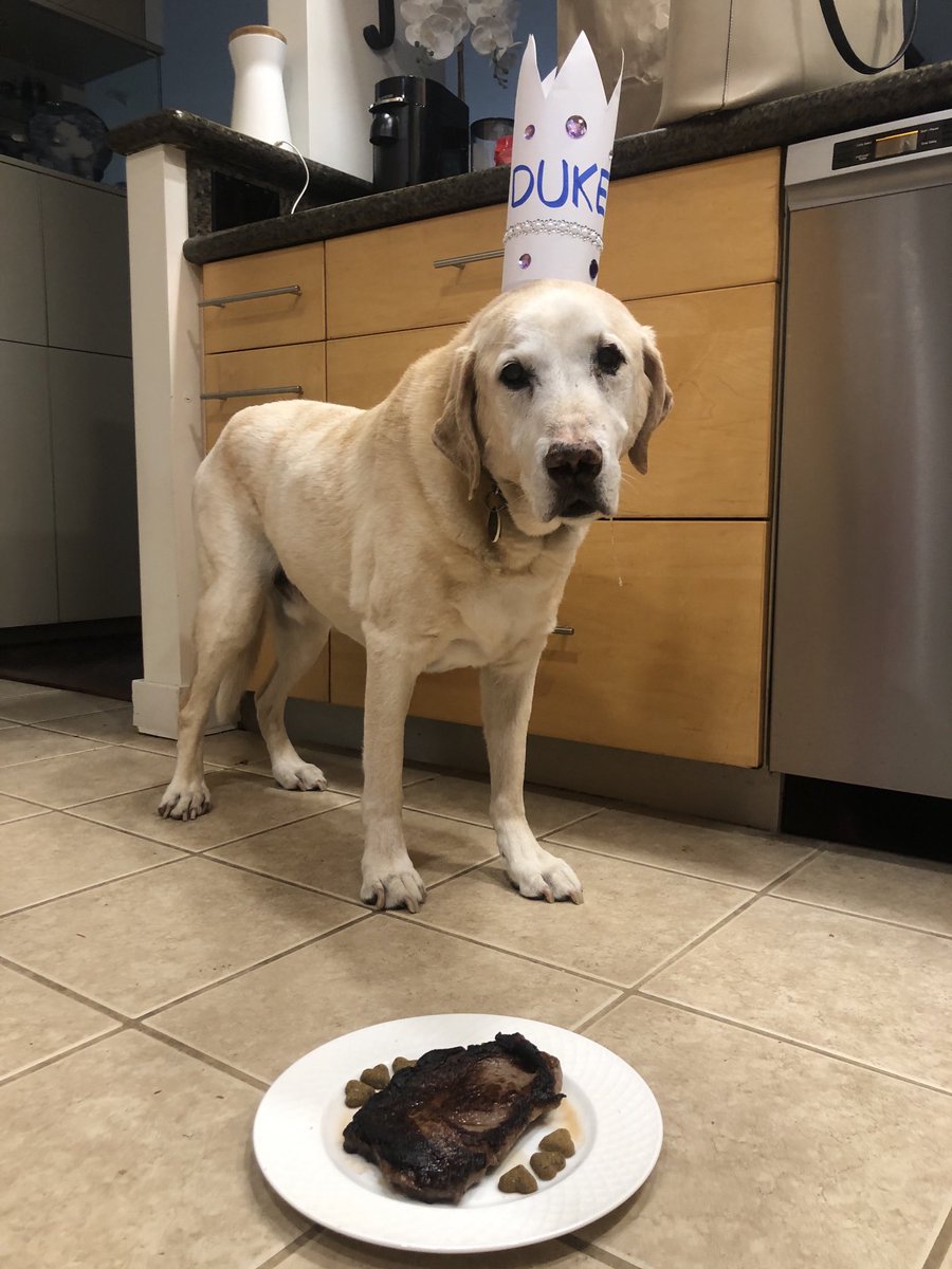 LeDukeDog's tweet photo. It’s my birthday today and I got a cake ... made of steak. That’s a win. https://t.co/G0uWZOhe4x