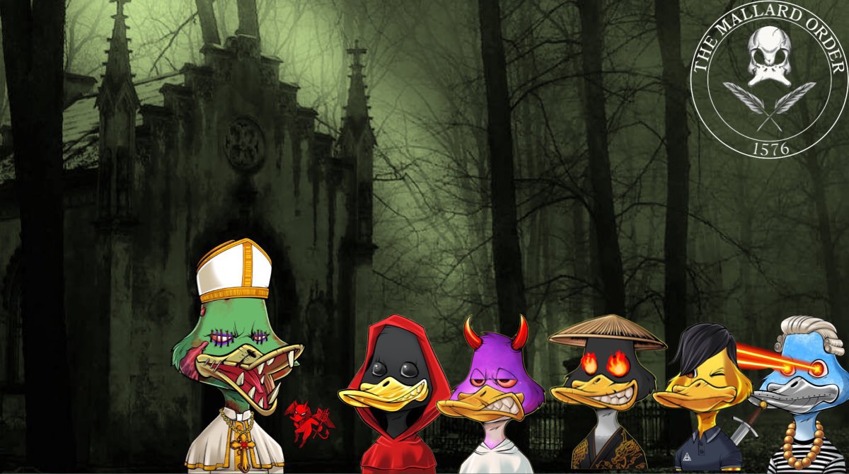 CNFTislang6s's tweet image. Outlining must follow @MallardOrder community members. Day 4. @meurege_weust is one of the first individuals I encountered after joining the order. Such a friendly individual with real passion for the project. He creates incredible twitter banners for order members #TMO #CNFT