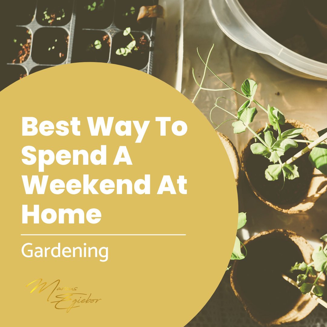 marcusegiebor's tweet image. Dig into a little gardening adventure and explore the power of your green thumb! It can be daunting at first, but gardening is an incredibly rewarding hobby to keep yourself busy with on weekends. Go green this weekend. 

Happy weekend!! ✨

#theinsuranceguru #insuranceaccess