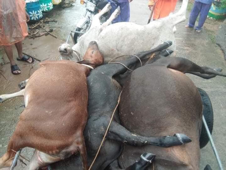 midsunray's tweet photo. This is the latest situation here in Antique, roads closing, bridges are tearing apart , floods above the waist in markets and animals are dead but the attention and rescue we need are non existent pls dont ignore our place  #PaengPh #AntiqueRescue ⚠️ ANTIQUE NEEDS HELP⚠️ https://t.co/84Xrz9SlCg
