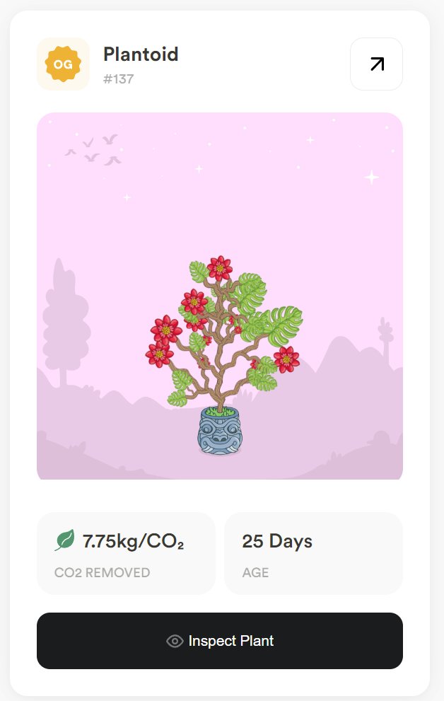 Rodkidesings's tweet photo. Mi nueva plantita de @PlantoidsNFT ❤️

#NFT #Solana #CO2 #Ambiental https://t.co/bUlZZNKtrQ